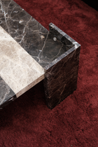 Hensen Coffee Table